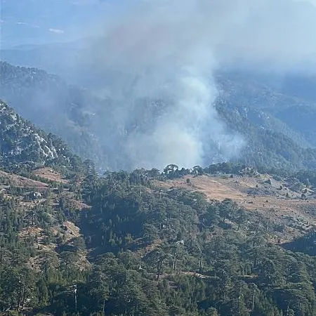 Muğla’da orman yangını