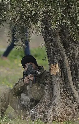 TSK öldürülen terörist sayısını açıkladı