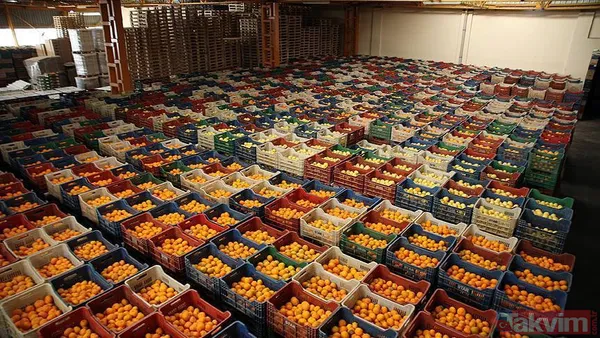 Herkes onları arıyor! Kim bu aracılar? Çiftçi kazanamıyor, vatandaş tasalanıyor! Çözüm bekleniyor: Hal Yasası çıksın! - 3