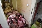 Antalya’da mide bulandıran görüntü! Şikayet sonrası denetim! Hamam böcekli yumurta, tarihi geçmiş tavuk, yerlere atılan kırmızı et