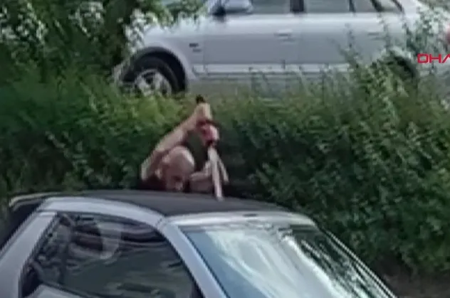 Almanya'da sokak ortasında korkunç cinayet: Kılıç ile öldürüldü