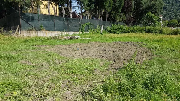 sakaryada-13-parcaya-ayrilan-cesetlerin-baslari-bulunamadi-1625221407564.jpg Sakarya'da 13 parçaya ayrılan cesetlerin başları bulunamadı-6