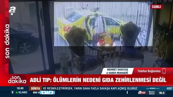 Böcek ailesinin kesin ölüm nedeni açıklandı!
