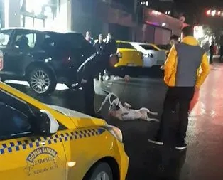 İstanbul’da pitbull dehşeti