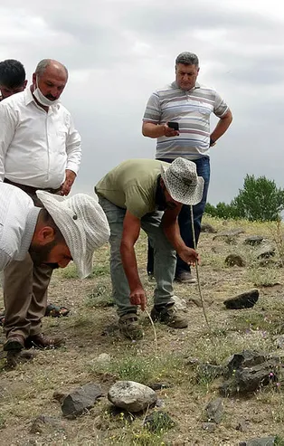 Her taşın altından çıkıyorlar! Mahalle istilaya uğradı, ekipler şaşkına döndü