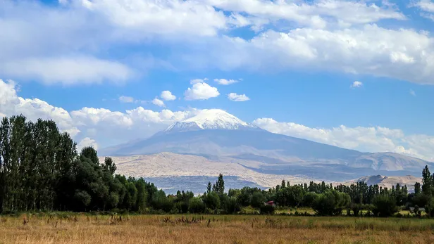 Şaşırtan görüntü! Bir gecede bembeyaz oldu-2