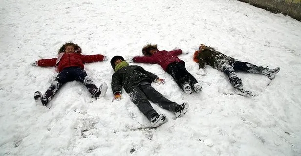 Yarın hangi illerde okullar tatil? İşte 20 Aralık Perşembe kar tatili olan iller