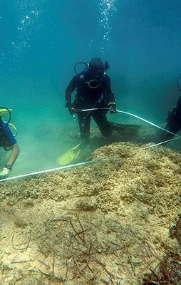 Kayıp kent Neapolis, Tunus’ta bulundu