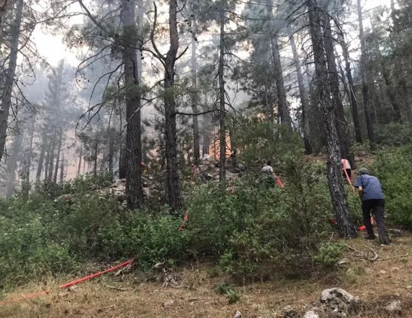 bolu-antalya-ankara-ve-eskisehirde-yangin-dort-ilde-alevlere-havadan-ve-karadan-mudahale-suruyor-1692118098305.jpeg Çok sayıda ilde yangın! Alevlere havadan ve karadan müdahale sürüyor-5