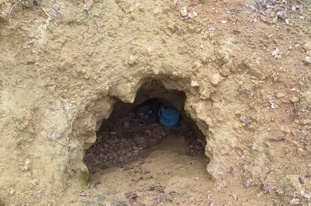 Siirt'te PKK'ya kış operasyonu!