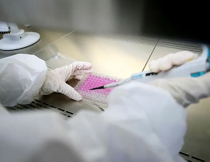 Türkiye dünyaya örnek oldu