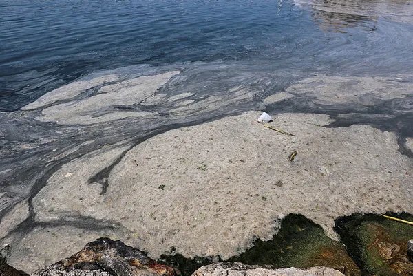 Marmara istila altında! Deniz salyasının (müsilaj) ilk raporu ortaya çıktı! Korkunç sonuç!-2
