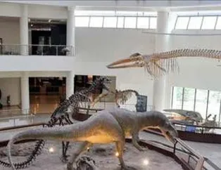 Türkiye'nin 'Jurrasic Park'ı