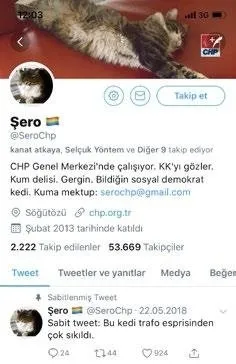 CHP'nin kedisi Şero Derya Köroğlu'ya tehdit savurdu: ''Yandaşlara röportaj verenlere belediye konseri vermiyoruz.''-2