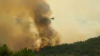 Uşak’ta orman yangını