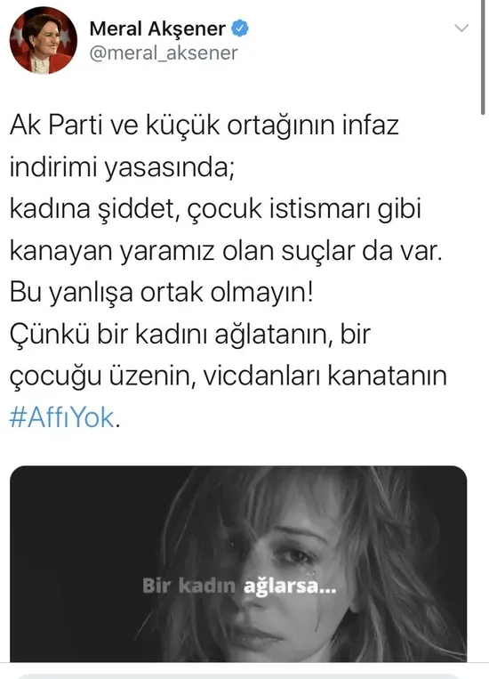 MHP Genel Başkan Yardımcısı Semih Yalçın: Meral Akşener karantina altına alınmalı-2