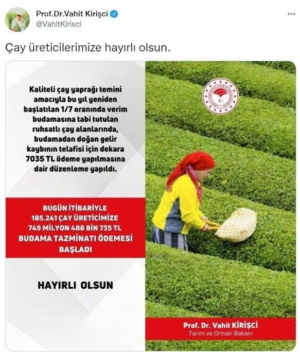 Tarım ve Orman Bakanı Vahit Kirişci çay üreticilerine müjdeli haberi duyurdu-2