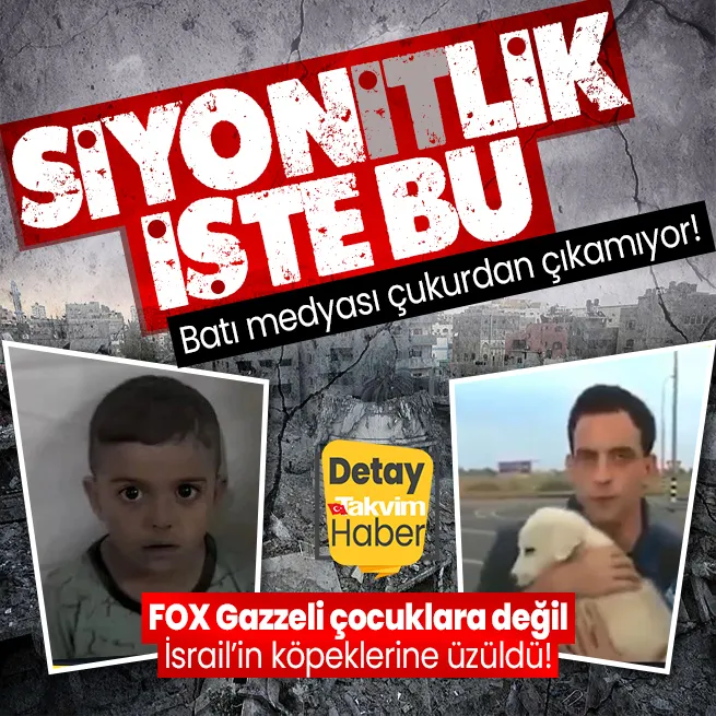 Batı medyası yüzsüzlükle sınır tanımıyor! Gazzede katledilen bebekleri görmezden gelen FOX köpekler sesten korkuyor haberi yaptı