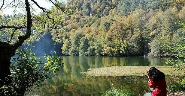 Bolu Valiliği duyurdu! O tarihe kadar ormanlara girişler yasaklandı!