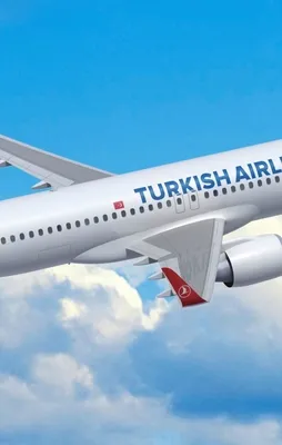 Türk Hava Yolları personel arıyor!