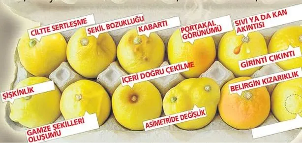 Angelina örnek oldu kadınlar kurtuldu