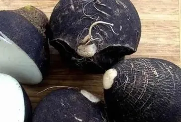 Öksürüğe çare siyah turp!