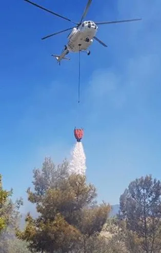 Hatay Amanos Dağları'nda yangın