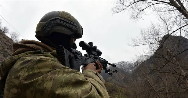 SON DAKİKA: PKK'ya bir darbe daha! Van'da jandarmanın ikna çalışmaları sonucu bir terörist teslim oldu