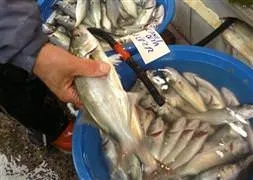 Ramazanda balığı unutmayın