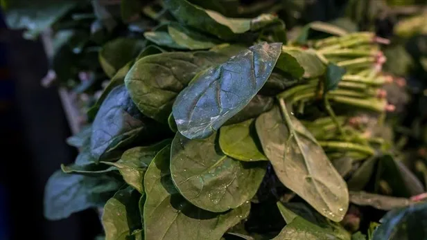 Gıda krizinin ardından şimdi de gıda zehirlenmesi paniği! Marketlerden tek tek toplatılıyor-4