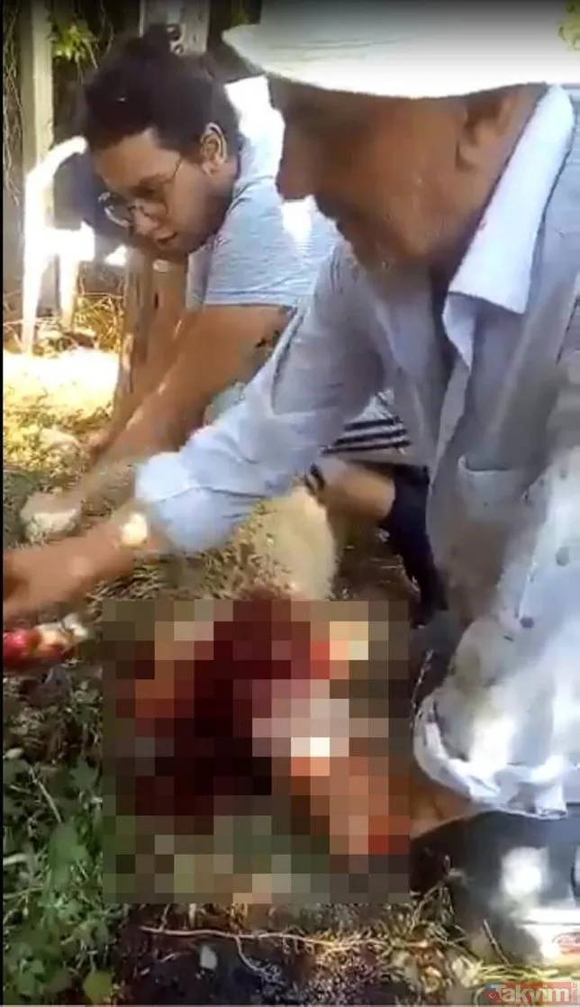 Kamera görüntülerindeki tıp öğrencisi Onur Alp Eker değilmiş! Şok detay: Vücudunda çok sayıda...