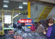 4.250 ve 5.000 TL maaşla en az ilkokul mezunu paketleme işçisi alınacak! İŞKUR’dan müjde! İşte İŞKUR paketleme işçisi ilanları