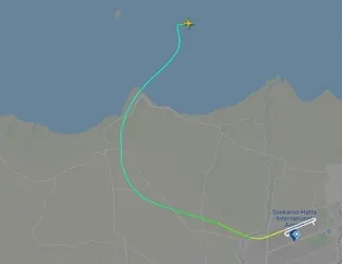 O ülkede yine yolcu uçağı düştü