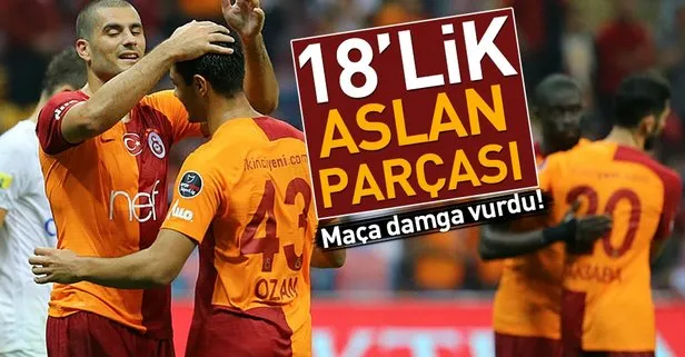 18’lik aslan parçası