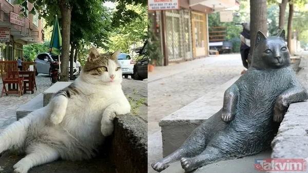 İstanbul'un Unutulmaz Kedileri Bu Şehirde Bazı Kediler Zamanla Birer Sembole Dönüşmüştür. Bunlardan Biri, Rahat Pozuyla Ün Kazanan Tombili'dir. Bir Sokağın...