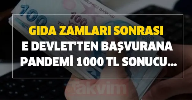 Gıda zamları sonrası e devlet'ten başvurana pandemi 1000 TL sonucu...