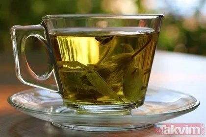 Şifa deposu mucizevi bitkiler! Hangi bitki çayı hangi hastalığa iyi geliyor?