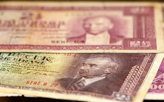 esi-benzeri-yok-degeri-her-gun-sicriyor-bu-paralara-servet-oduyorlar-adeta-define-degerinde-1623837475206.jpg Eşi benzeri yok değeri her gün sıçrıyor! Bu paralara servet ödüyorlar! Adeta define değerinde...-2