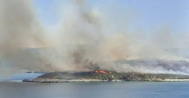 Son dakika: İzmir Urla'da makilik alanda yangın!