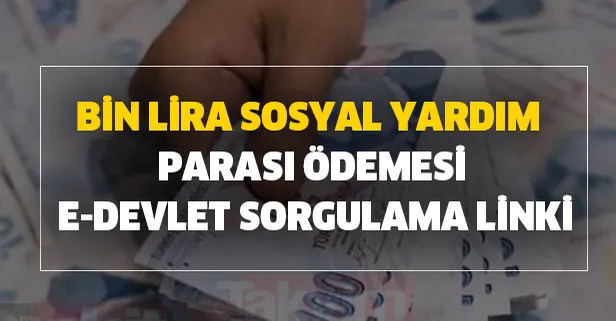 Bin lira sosyal yardım parası ödemesi e-devlet sorgulama linki araştırılıyor