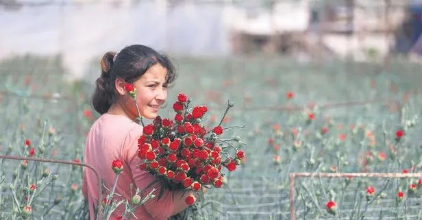 Çiçek gibi kazanç! 8 Mart Dünya Kadınlar Günü için 50 ülkeye 8 milyon dolarlık ihracat