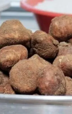 Keme mantarının kilosu 175 liradan satılıyor