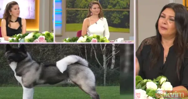 Tuğba Altıntop 'köpek saldırısına uğradım' demişti! Son haliyle ortaya çıktı! Rafet El Roman kaybettiğine dönüp bakınca başını taşlara vuruyor - 5