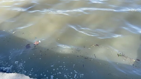 istanbulda-bogaza-ve-halice-camur-akti-deniz-kahverengiye-dondu-1644413362824.jpg İstanbul'da Boğaz'a ve Haliç'e çamur aktı! Deniz kahverengiye döndü-8