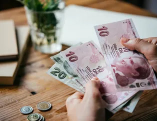 18 Ocak BES’te kategorilerine göre en fazla kazandıran fonlar hangileri oldu?