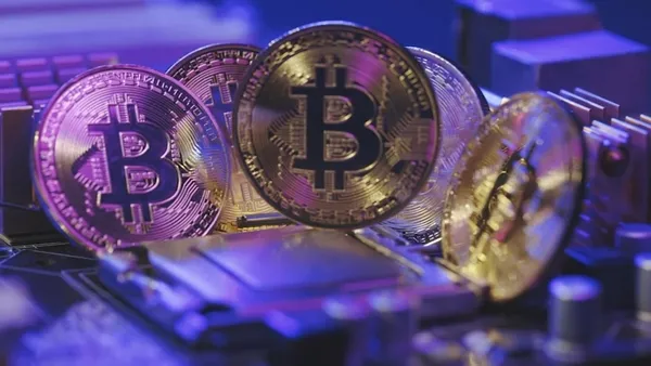 Elon Musk paylaştı Bitcoin çakıldı! Ekonomistler, Musk'un suç işlediğini söyledi | Bitcoin'de son durum-11