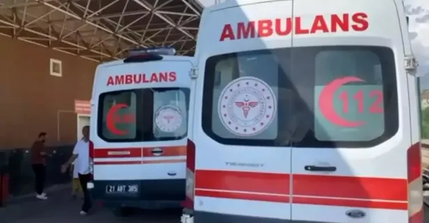 Diyarbakır’da korkunç cinayet: Cezaevinden izinli çıkan baba, oğlu tarafından öldürüldü