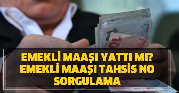 emekli tahsis no sorgulama