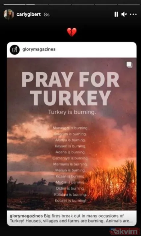 Dünyaca ünlü isimler orman yangınlarının ardından Türkiye’ye destek oldu! Paylaşımlar peş peşe geldi Dua Lipa, Bella Hadid, Inna... - 5