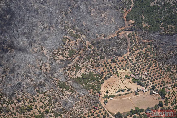 Bir izmaritin bedeli 50 hektarlık alan oldu! İşte İzmir'deki yangın faciasının çıkış anı - 13
